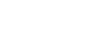 logo lanlimp